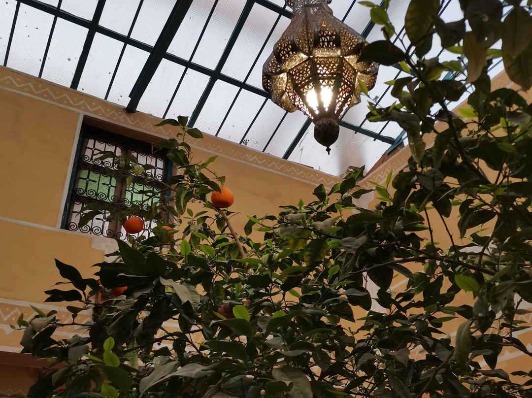 Kasbah Imini Restaurant & Hotel主图