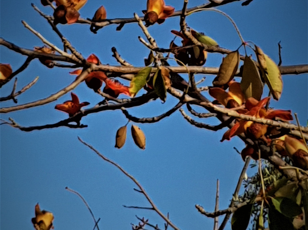 Raanana Park-Ra'anana必去景点