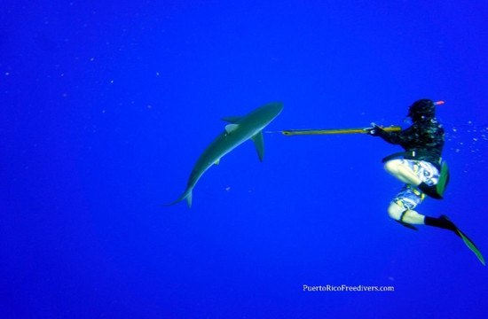 Puerto Rico Freedivers and Spearfishing Charters-圣胡安必去景点