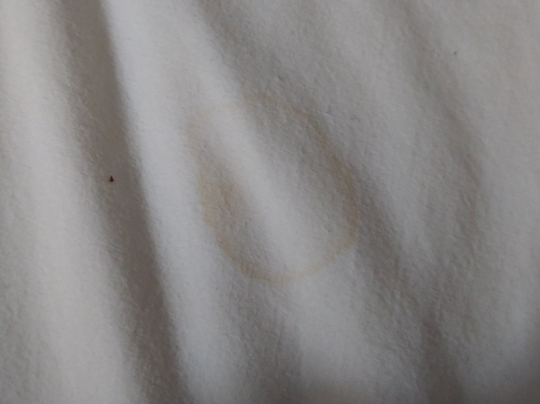 Rodeway Inn Bristol Near State Street主图