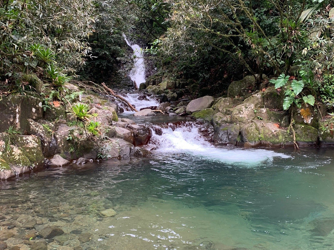 Bassin Paradise-Capesterre-Belle-Eau必去景点