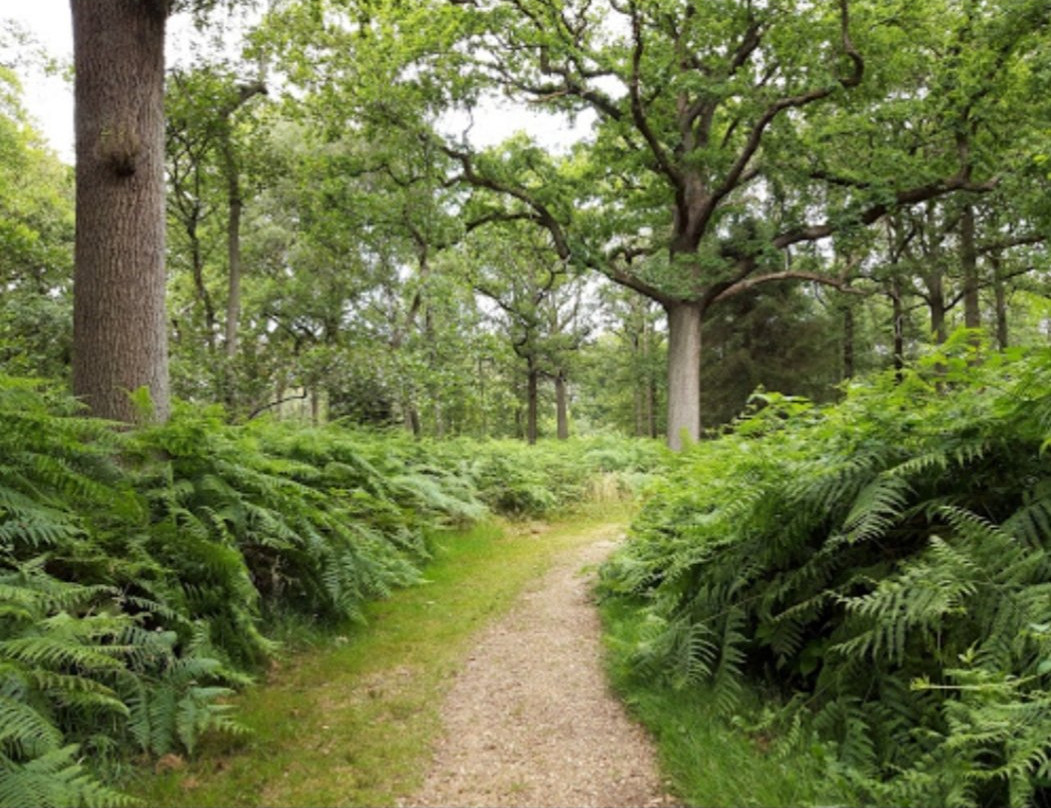 Park Vordenstein-Schoten必去景点