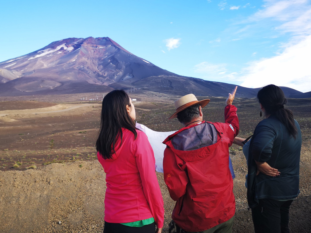 Eco Tour Terra-Curacautin必去景点