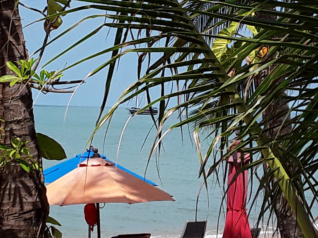 舒适海滩度假村主图