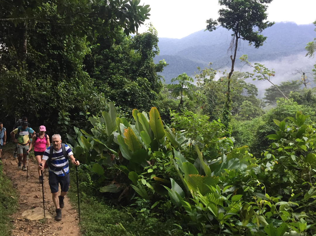 Travel JM-佩雷拉必去景点