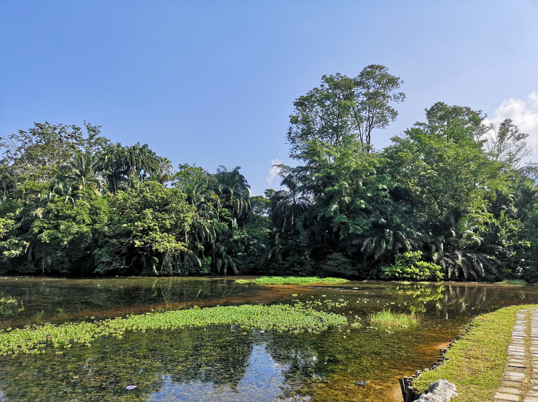 Taman Tasik Taiping景点图片
