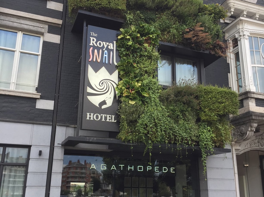 The Royal Snail Hotel主图