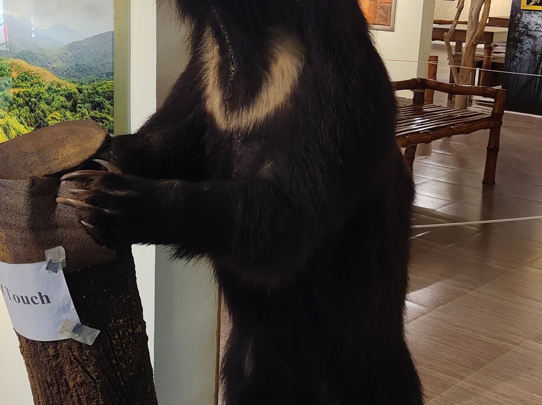 Muthanga Wildlife Sanctuary-Muthanga必去景点