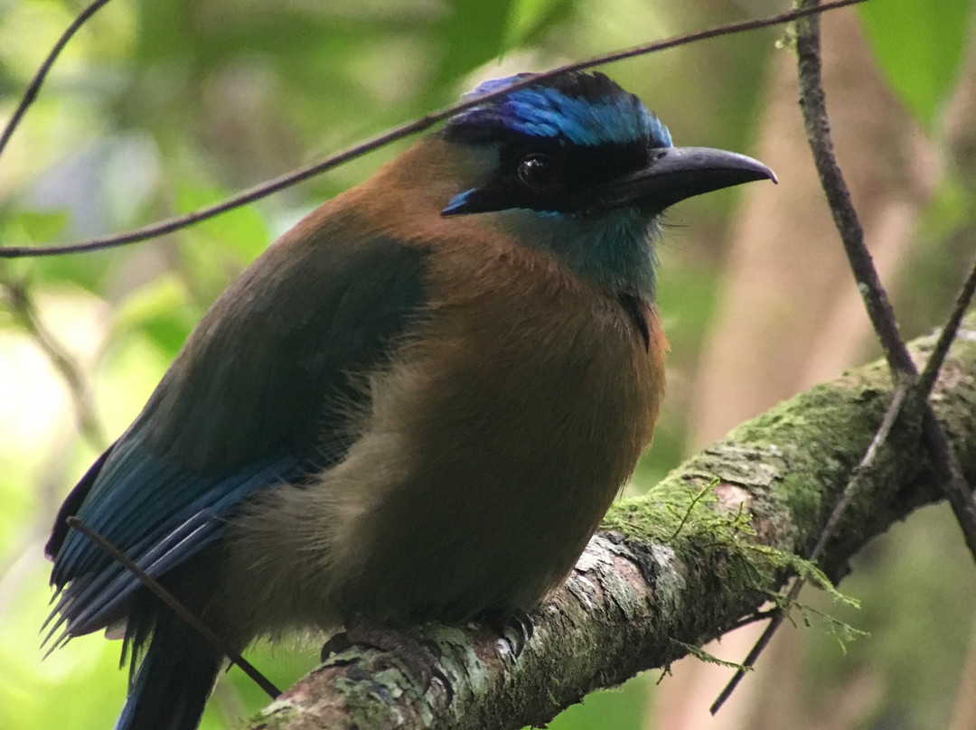 Costa Rica Wáköö Tours-哥斯达黎加安东尼奥国家公园必去景点