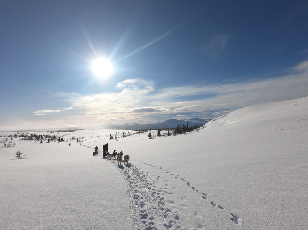 Eywa's Trails Norway景点图片
