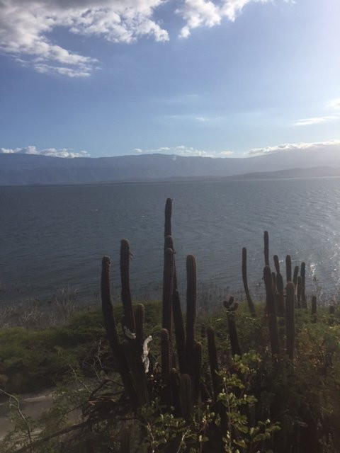 Lake Enriquillo (Lago Enriquillo)-多米尼加共和国必去景点