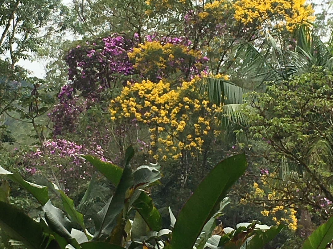 Parque das Neblinas景点图片