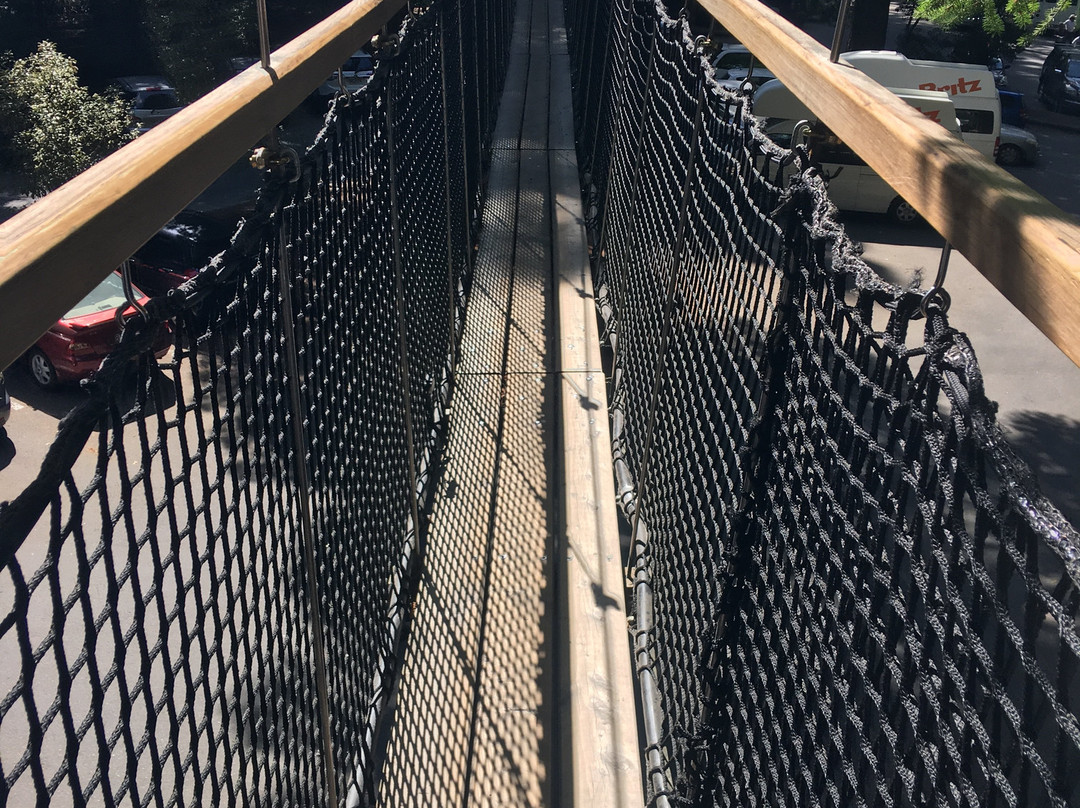 Redwoods Treewalk景点图片