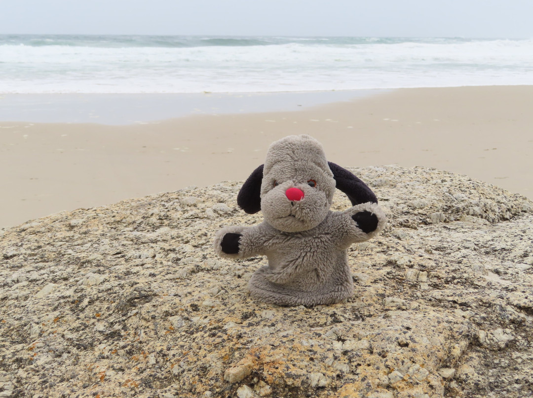 Llandudno Beach-Llandudno必去景点