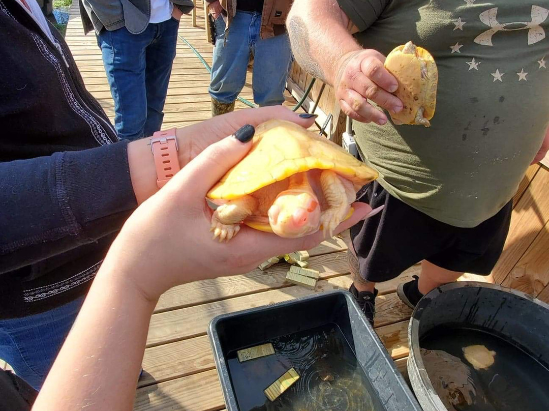 Kliebert & Sons Gator Tours-Ponchatoula必去景点