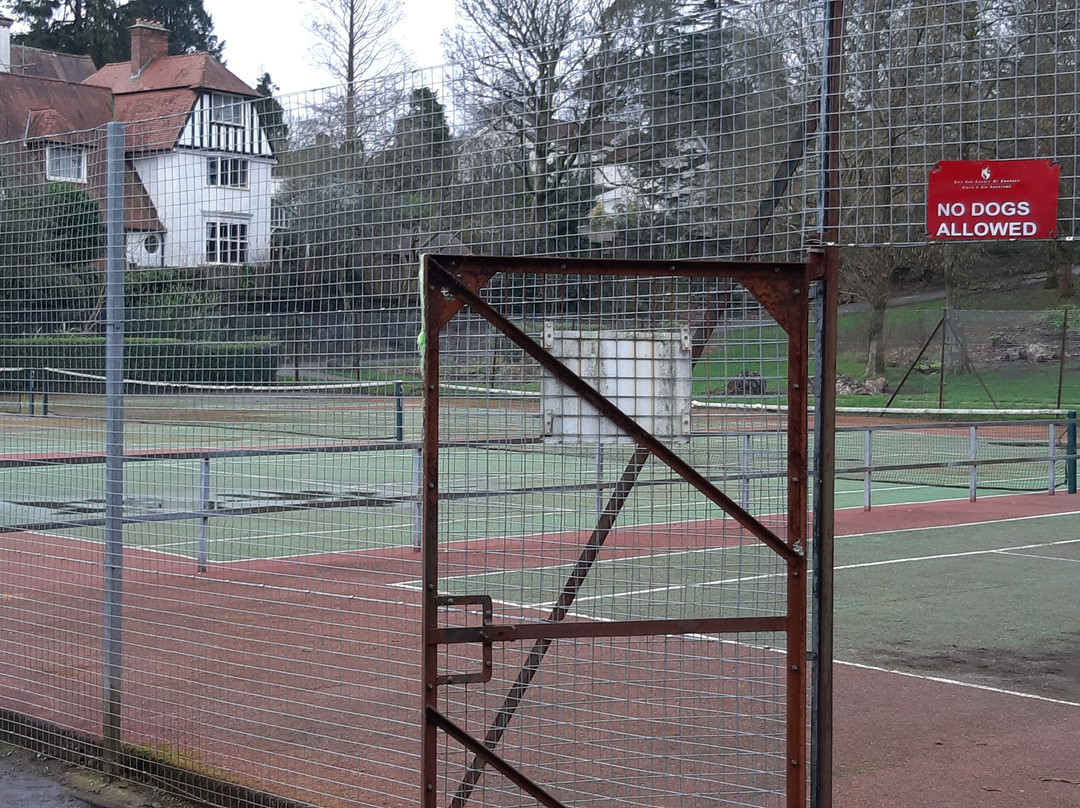 Cwmdonkin Park-斯温西必去景点