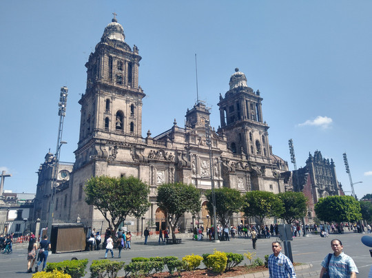 Strawberry Tours-墨西哥城必去景点