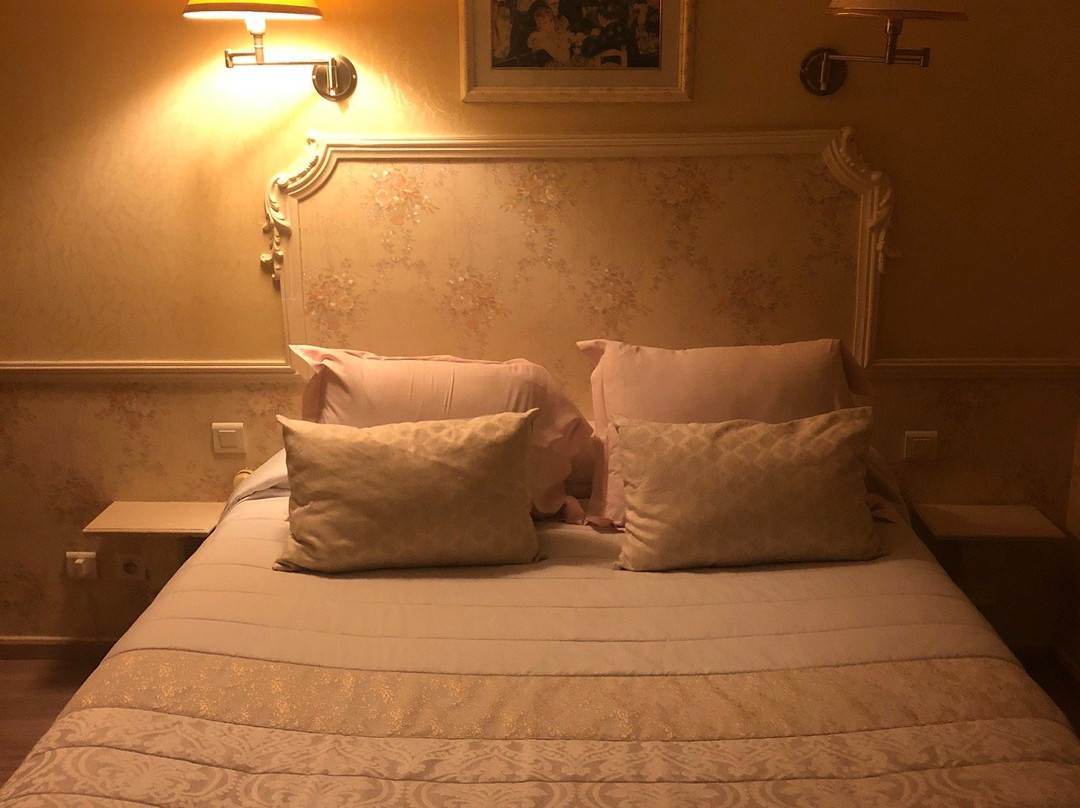Hotel des Dauphins主图
