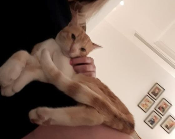 Sierra Sharm El Sheikh主图