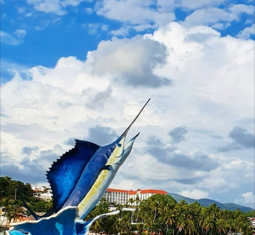 Playa Principal de Puerto Escondido-埃斯孔迪多港必去景点