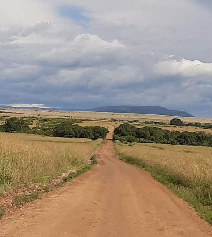 Wasili Kenya Safaris-内罗毕必去景点