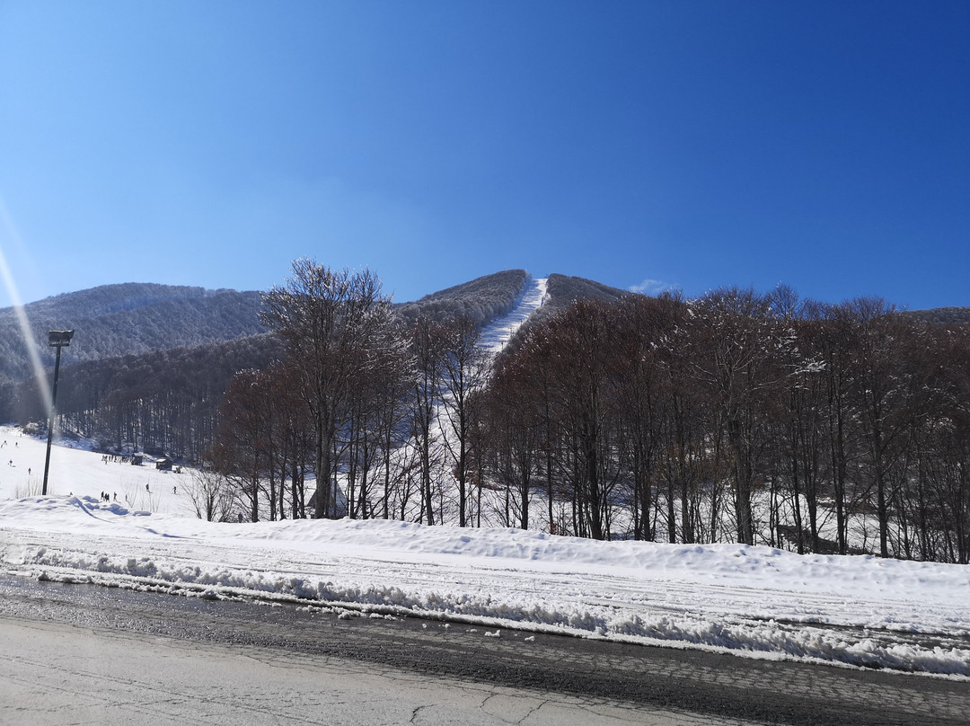 Ski Center Vigla - Pisoderi景点图片