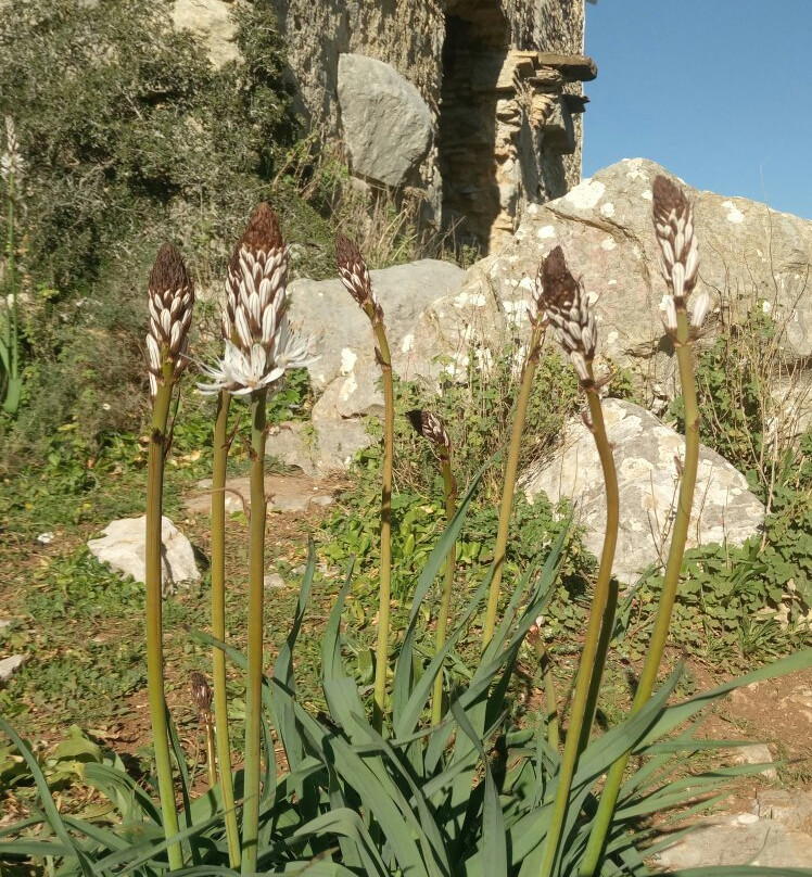 Ermita del Calvario景点图片