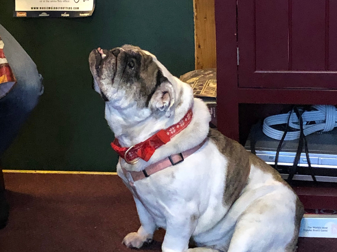 Mountain Brook Lodge主图