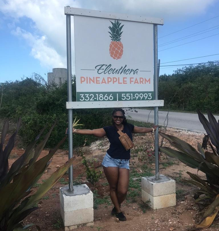 Eleuthera Pineapple Farm Tours景点图片