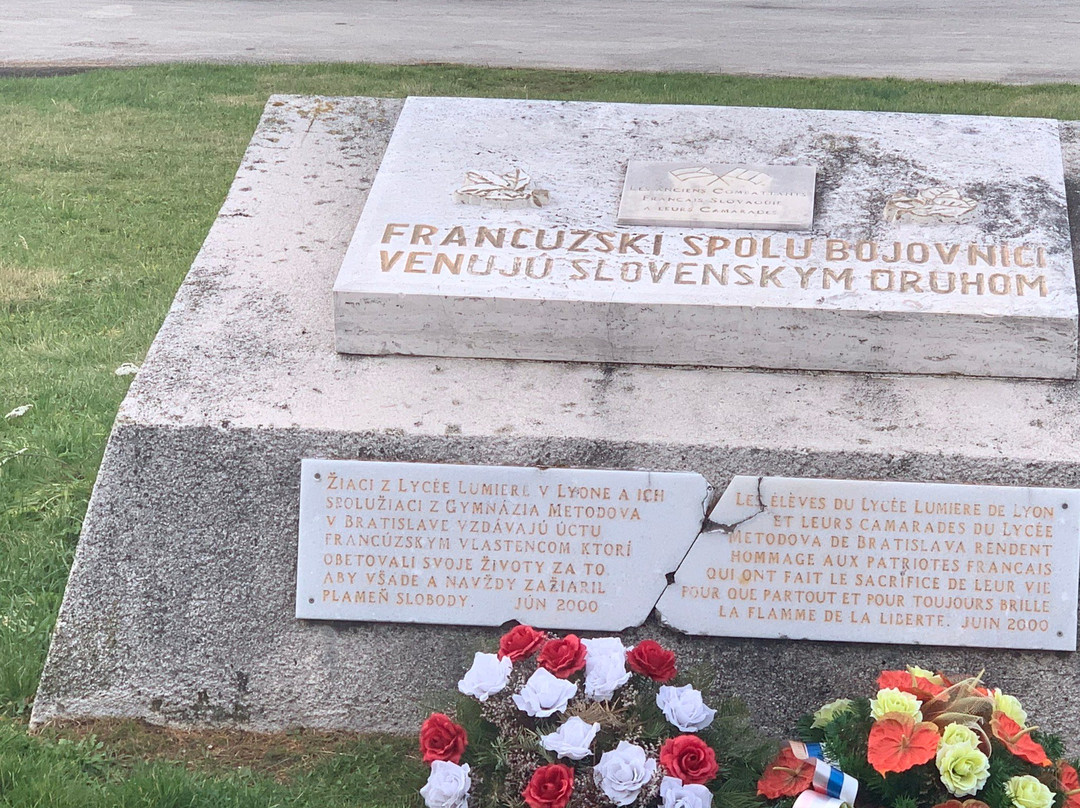 Monument of French guerrillas-Strecno必去景点