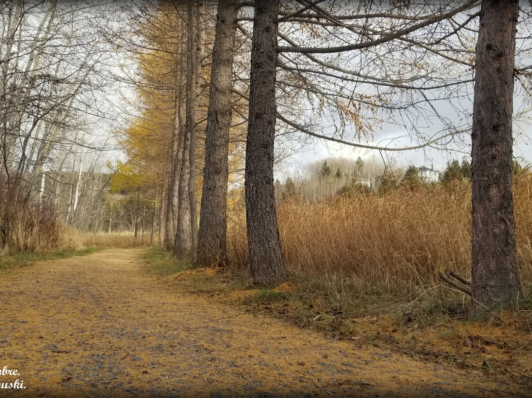 Parc Beauséjour-Rimouski必去景点