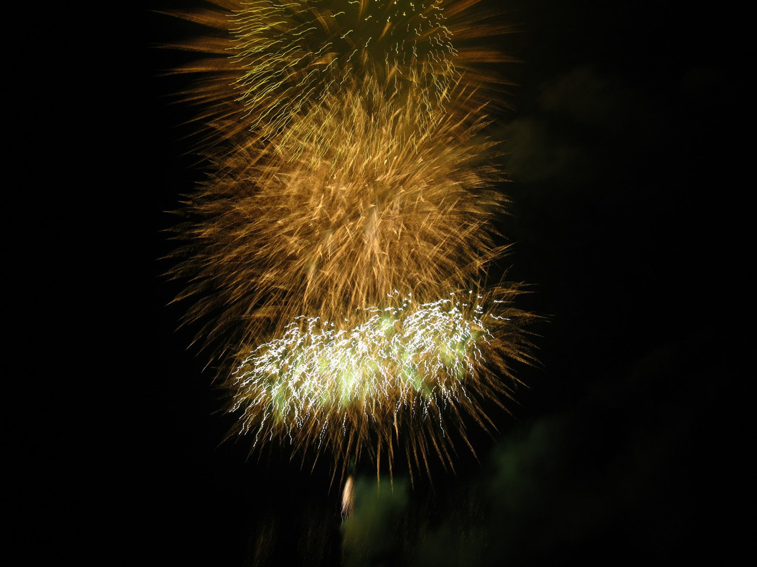 Inashiki Summer Festival Fireworks景点图片