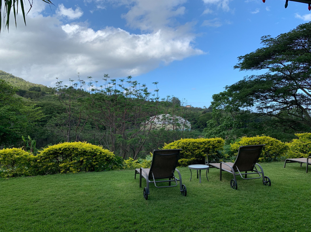 Iao Valley Inn主图
