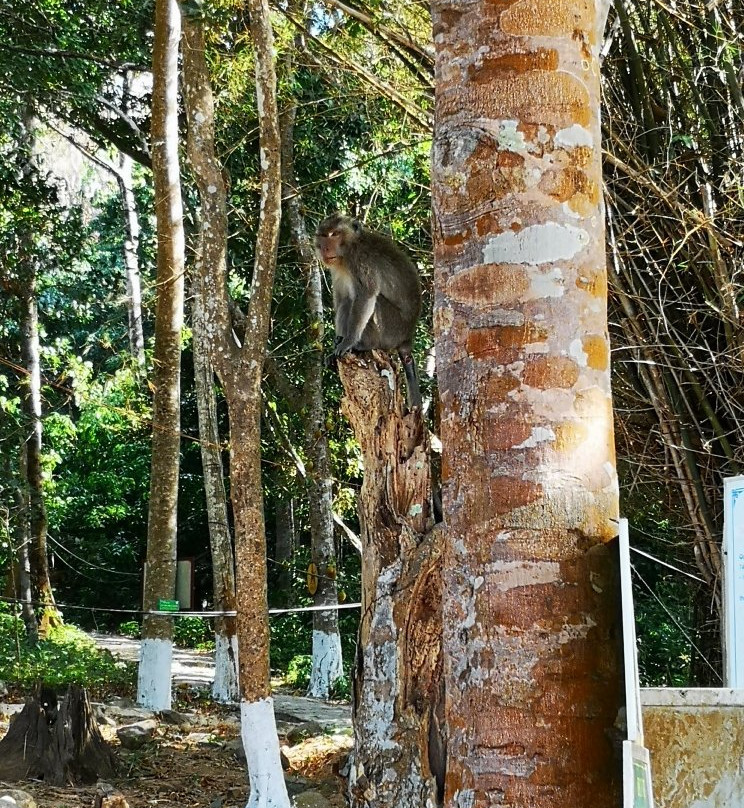 Con Dao National Park-昆山岛必去景点