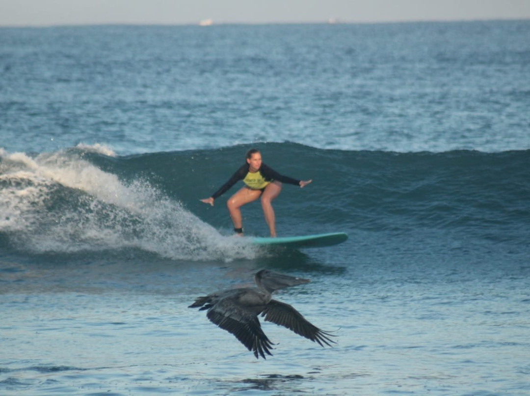 Puerto Surf-埃斯孔迪多港必去景点