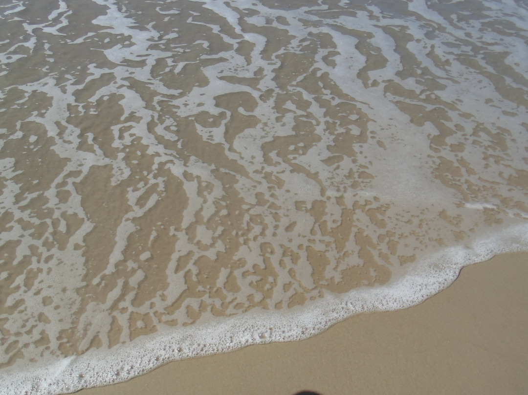 Jacuma Beach-Genipabu必去景点