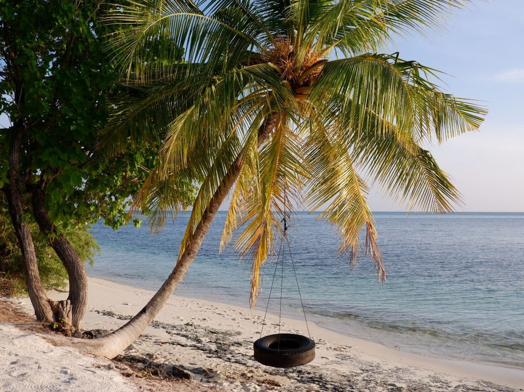 Tropical Village主图