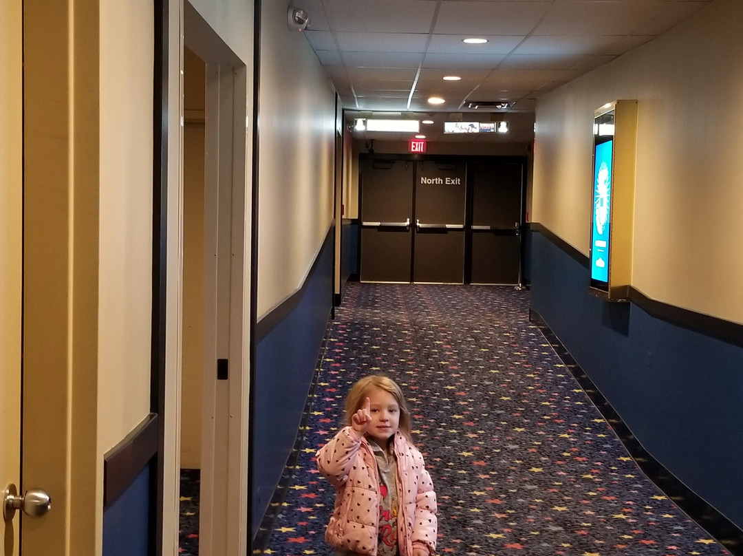 Cinema 12-Carpentersville必去景点