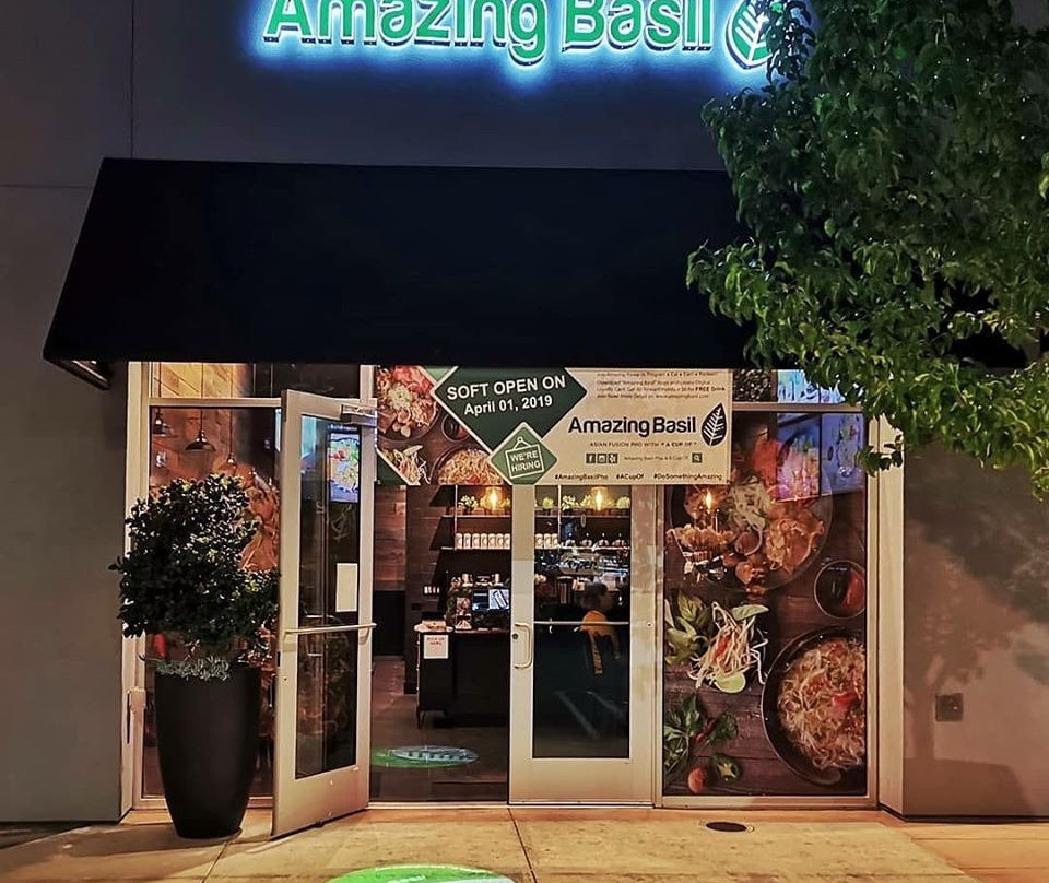 Amazing Basil & A Cup of