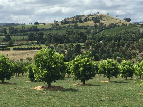 Paul’s Wine Tours-墨尔本必去景点