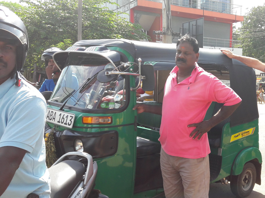 Kilinochchi酒店住宿-D'Villa Garden House