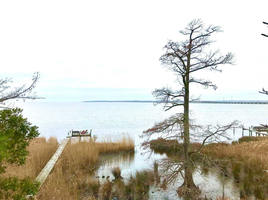 Cypress Moon Inn主图