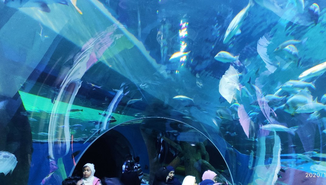 Maritime Museum-沙迦必去景点