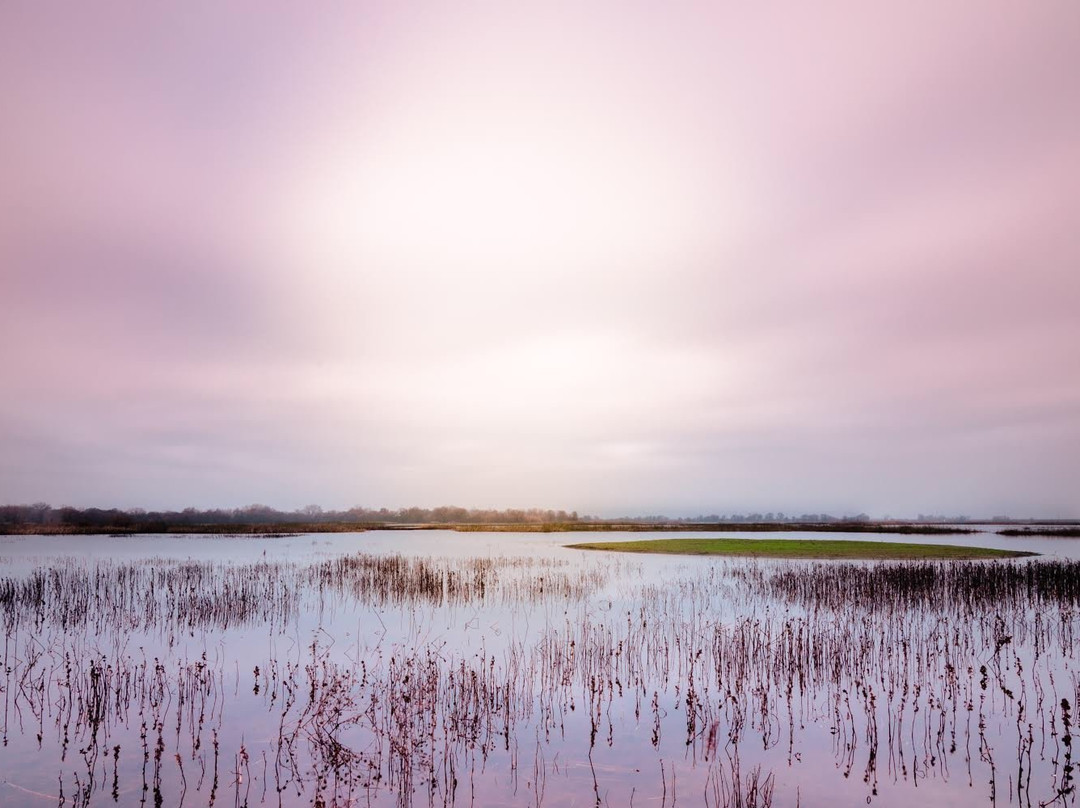 Cosumnes River Preserve-Galt必去景点