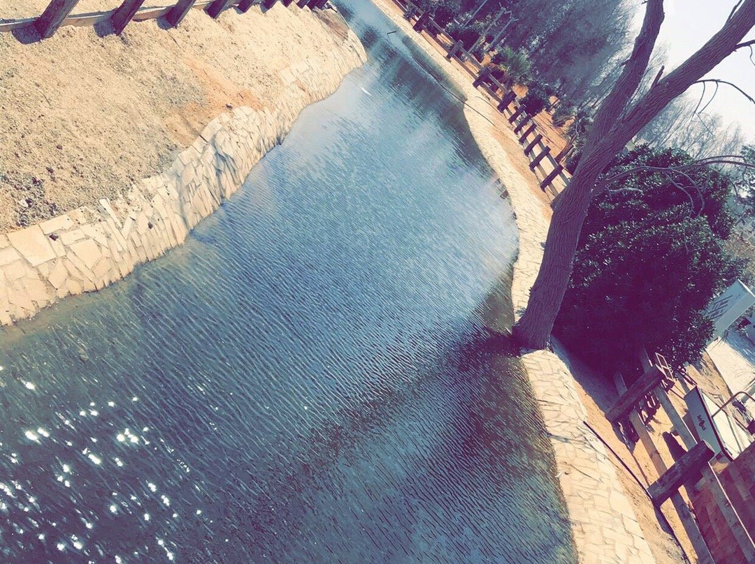 Al-Ahsa Oasis-Al Ahsa必去景点