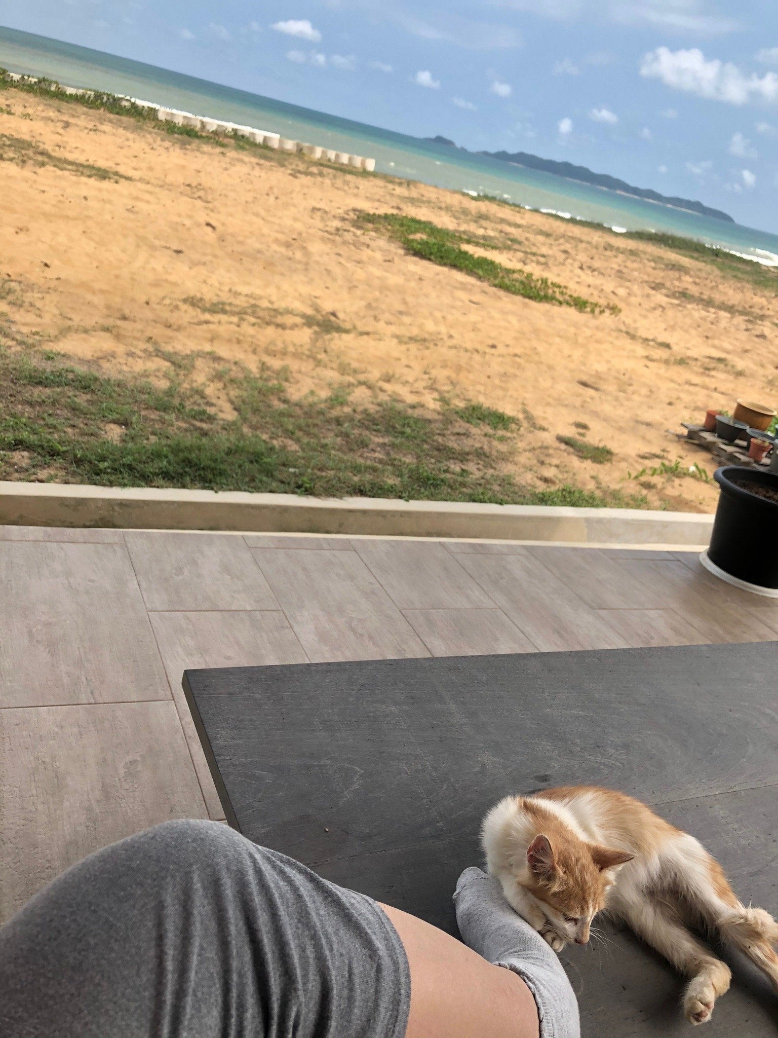 Kc Beachfront-官方
