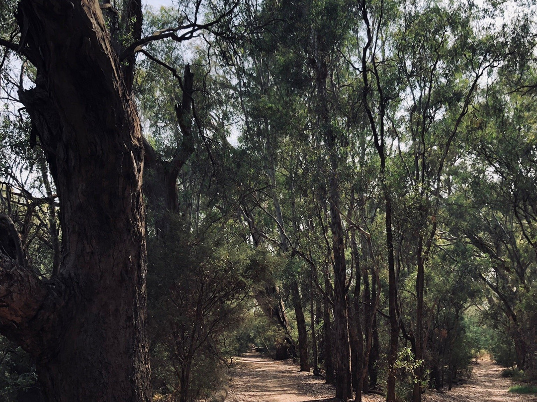 Northern Beaches-Wangaratta必去景点