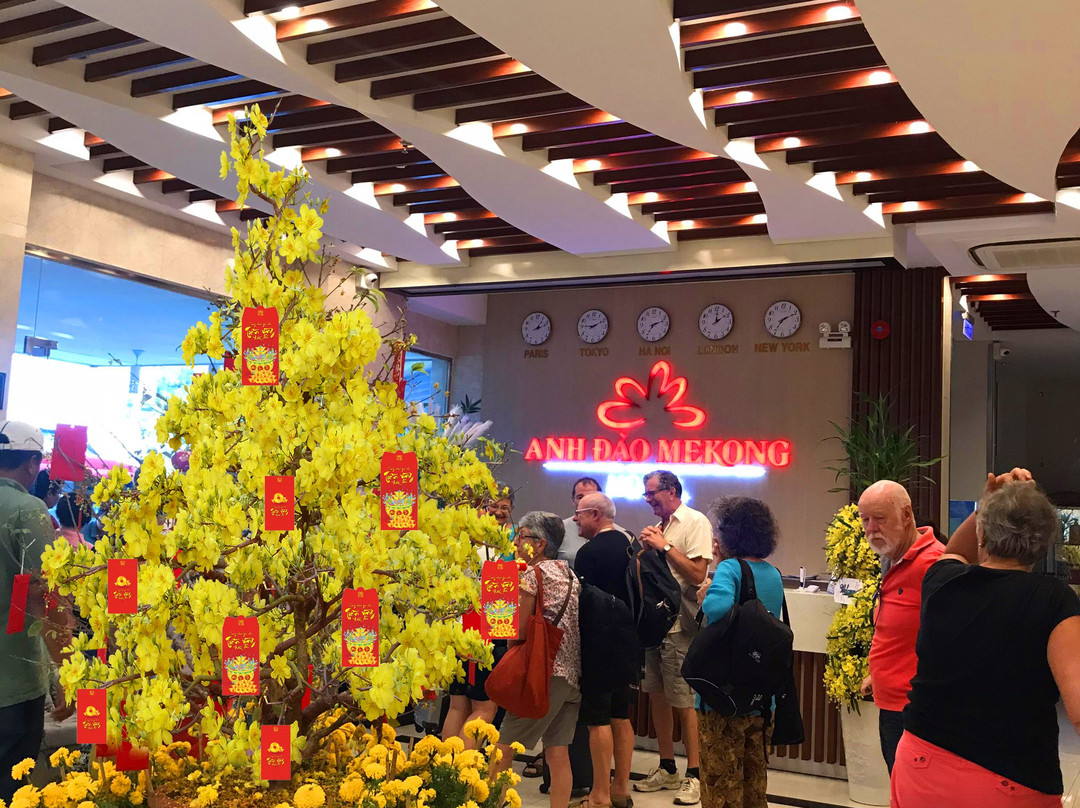 Anh Dao Mekong 2主图