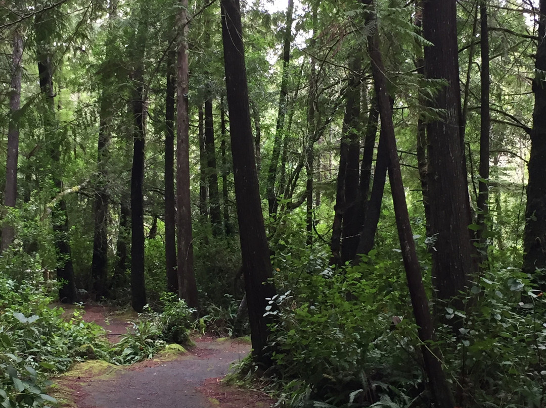 Darlingtonia State Natural Site-弗洛伦斯必去景点