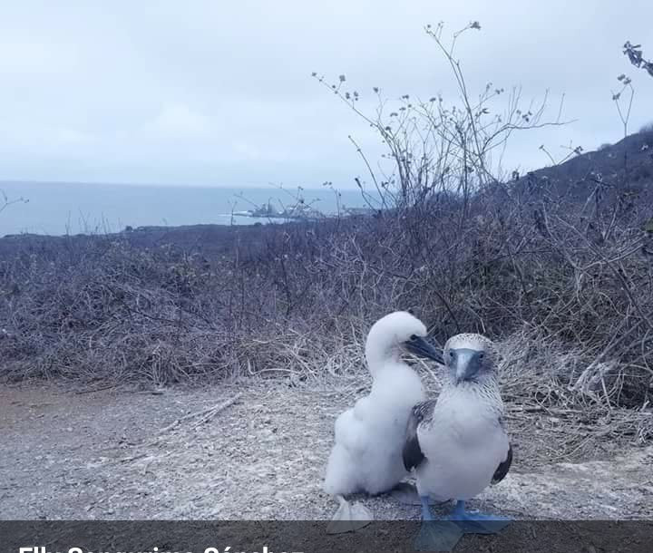 Isla de la Plata-Machalilla National Park必去景点